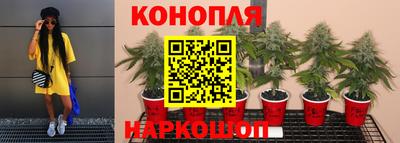 Альфа ПВП Кимры