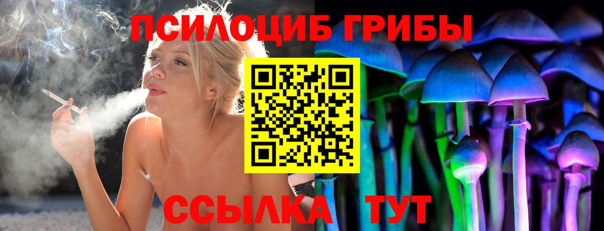 Галлюциногенные грибы Psilocybine cubensis  Галлюциногенные грибы мухоморы  Вход с VPN  Елабуга 